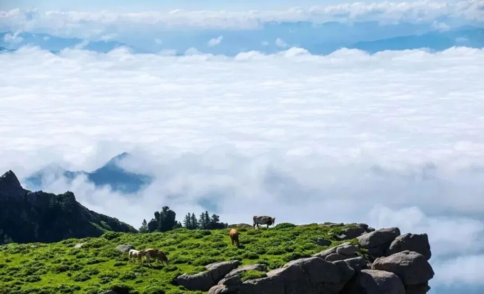 图源：芦芽山旅游度假区官微