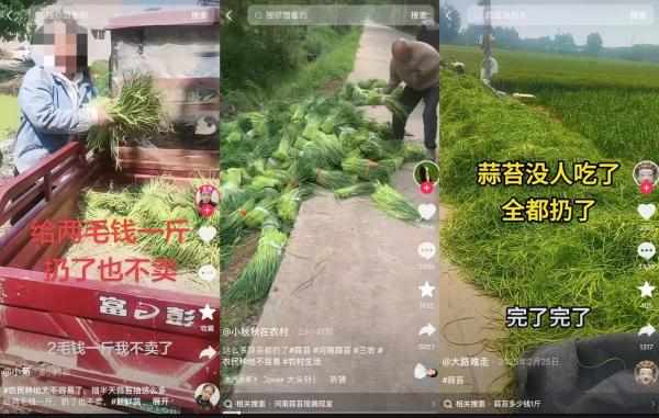 一些博主发布“蒜薹扔了”的视频，获得较多网友同情。网络视频截图