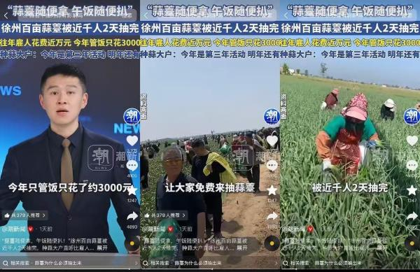 潮新闻报道截图。