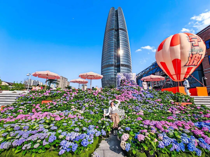 市民在绣球花海里拍照。（受访者/供图）