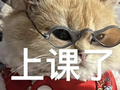 假期出行提醒！酒店这个地方千万别挂衣服...已有人赔上万元
