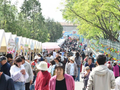 千年和平寺外风车舞，昌平花塔村解锁假期新玩法