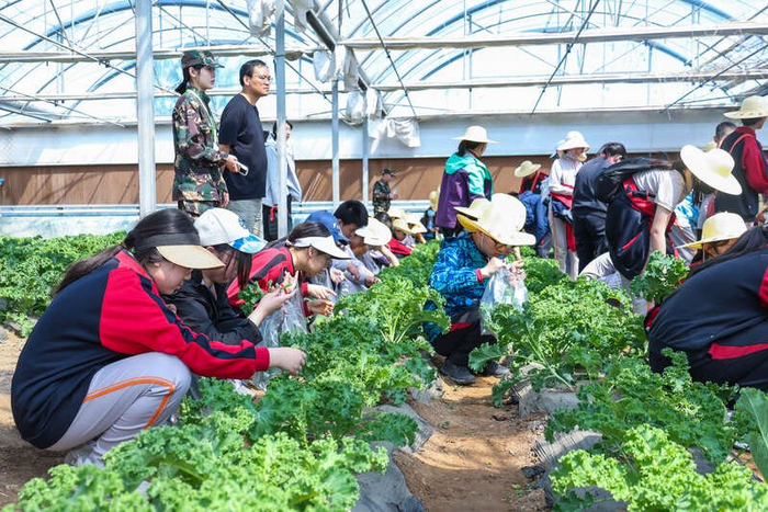 4月28日至30日，北京师范大学附属中学初二年级800余名师生赴平谷区农业中关村学院实践基地。受访者供图