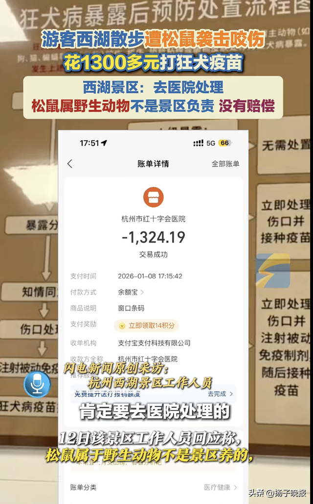 此前有媒体报道，游客被松鼠抓伤花1300多元注射疫苗。视频截图