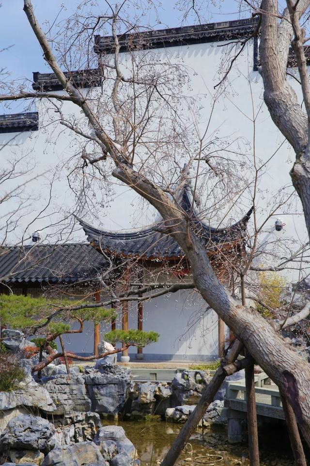 图源：小红书博主@岁月姑姑
