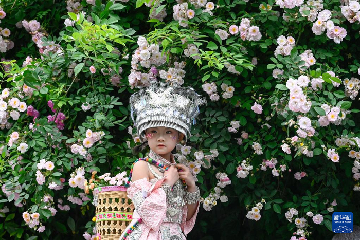 5月1日，游客在重庆市酉阳土家族苗族自治县酉州古城景区赏花游玩。新华社发（邱洪斌摄）