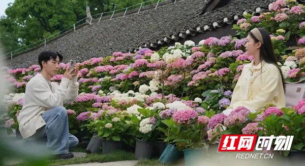 游客在荆坪古村核心景区内打卡留念。