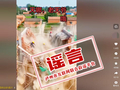 辟 谣 公 告