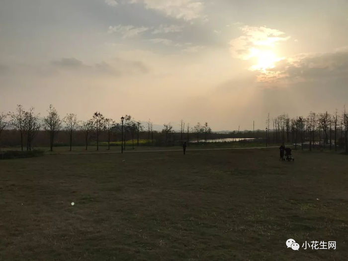 图片来自网络
