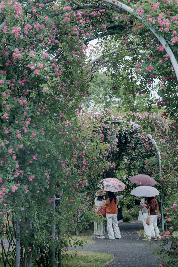 @焦外蓝调