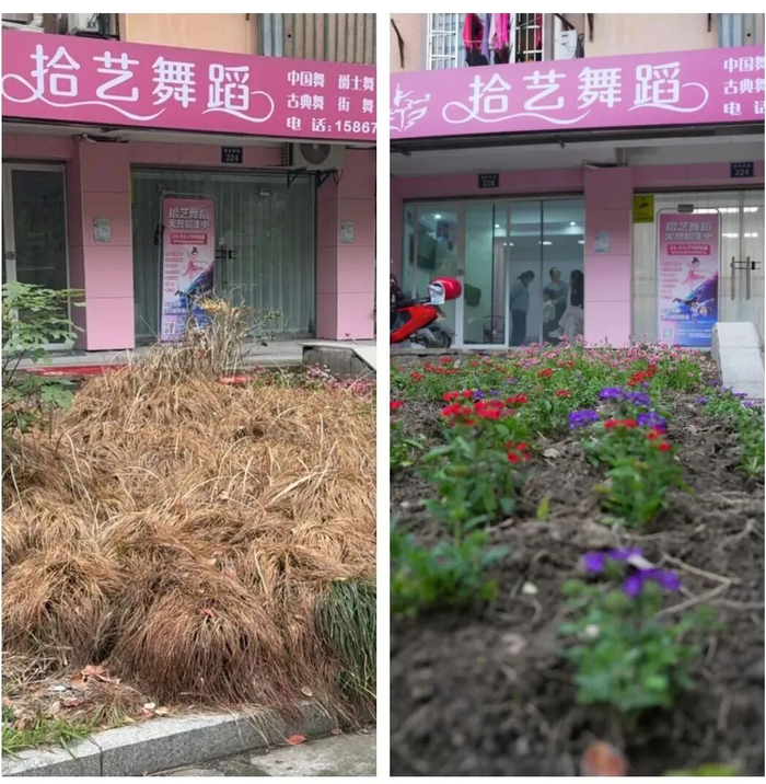 景观改造对比图