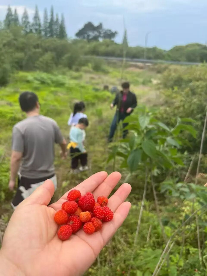 摄/花仙子