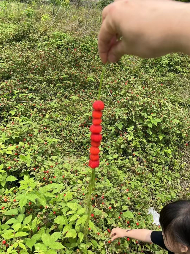 图源/今日建德