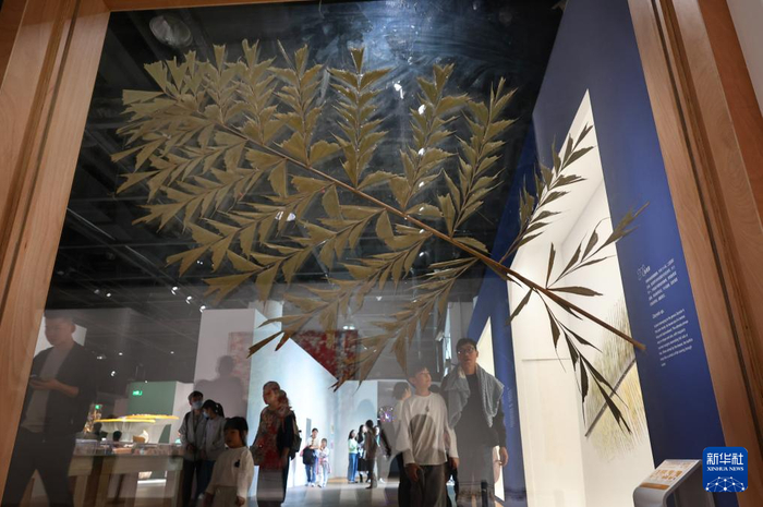 5月1日，在位于上海自然博物馆的大型自然艺术展“只有树知道”上，参观者从一片巨大的鱼尾葵叶片前走过。新华社记者 方喆 摄