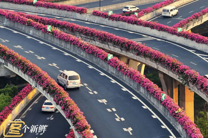 摄影 楼航