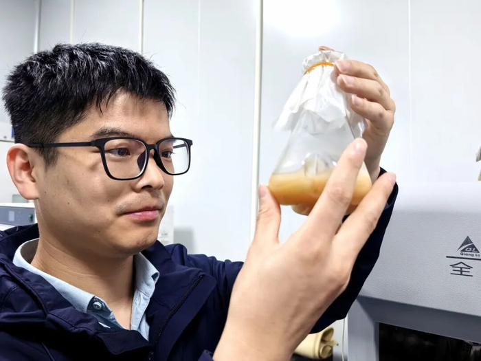 菌类博士郭孟配在观察金耳菌种。记者金文兵 摄 