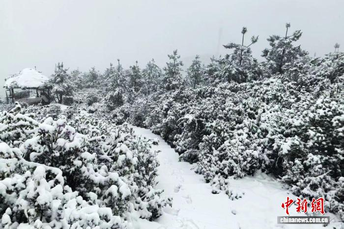 鲁甸水磨轿顶山雪景。鲁甸县融媒体中心 供图