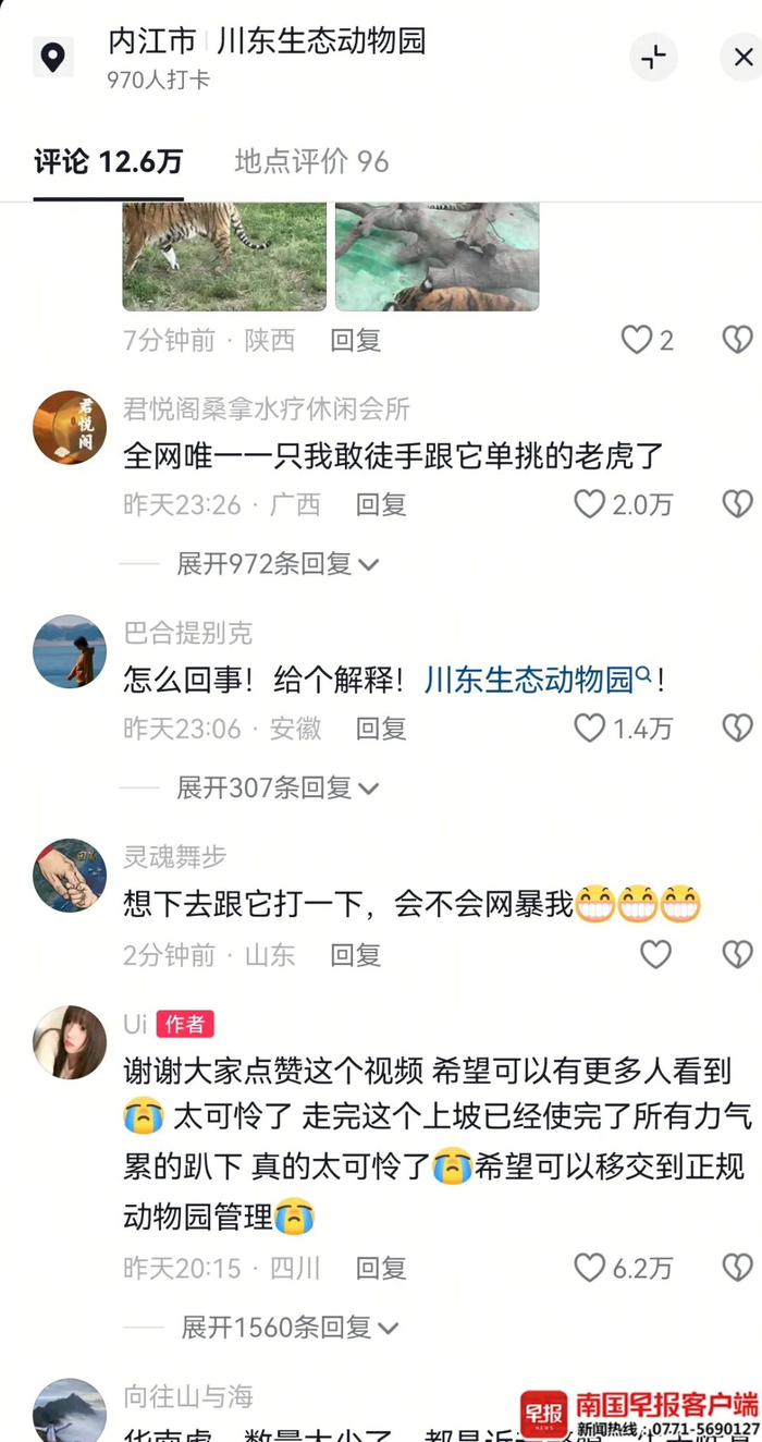 ▲网友评论。