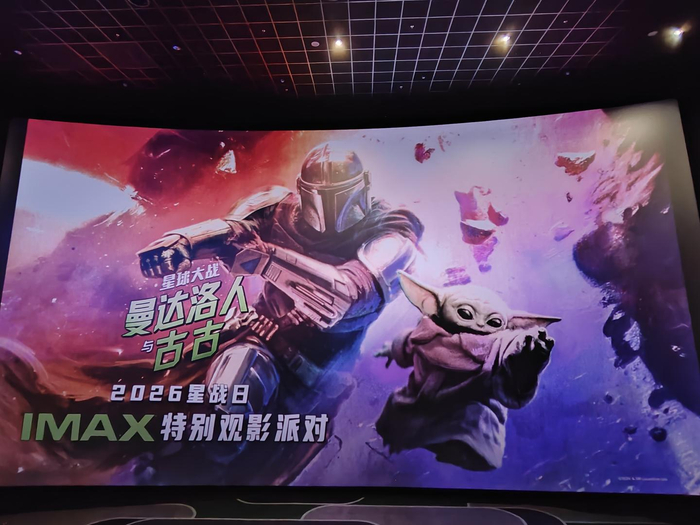 观影活动现场