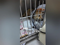 一只流浪狗让这座小城收获泼天流量：网友纷纷前往打卡