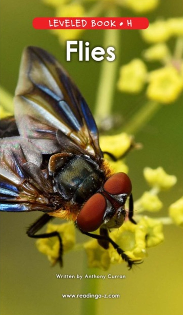 RAZ-H Flies