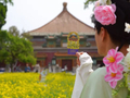 “五一”假期第4天，近77万人次逛北京市属公园！最热公园排名有变