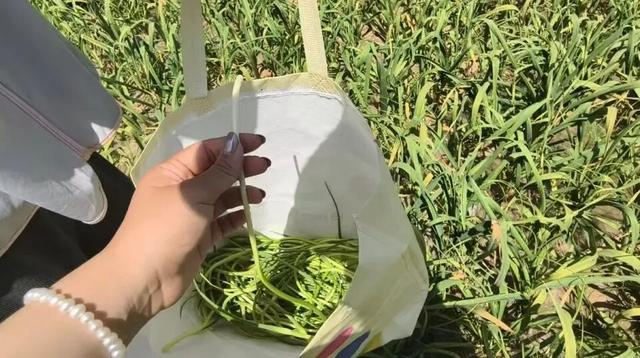 参与者展示抽到的蒜薹。图/九派新闻李韵聪 