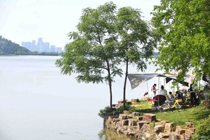 5月4日，东湖绿道草长莺飞，市民游客来到湖边野餐、露营。长江日报记者高勇 摄