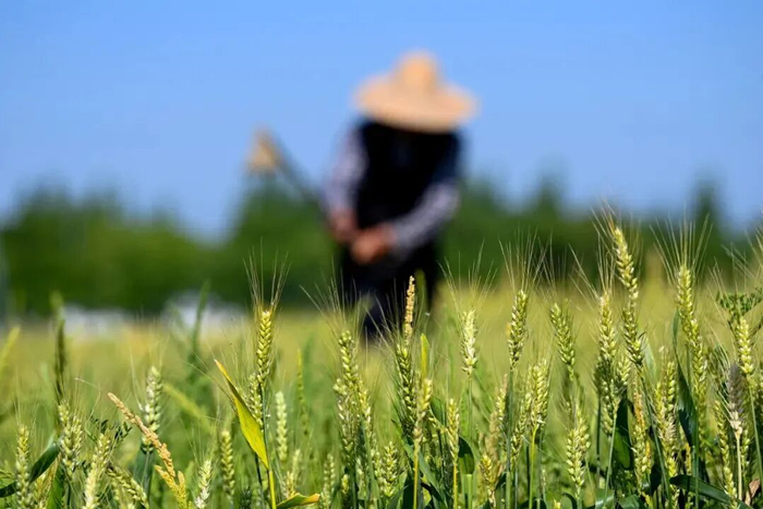 图源：新华网