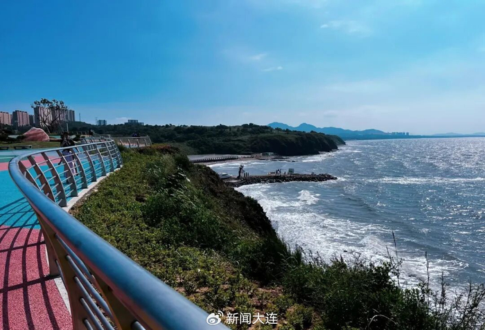 图片：茉莉花开亲子游