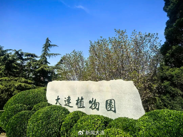 春假来这里赏花、喂锦鲤、河边戏水，一个捞鱼网就可以硬控孩子一下午，慢逛超舒服！