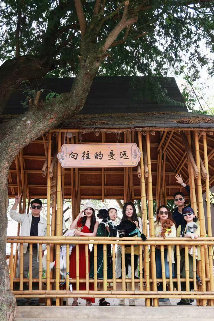 云南携宠旅行团