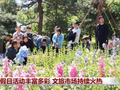 假日活动丰富多彩 文旅市场持续火热
