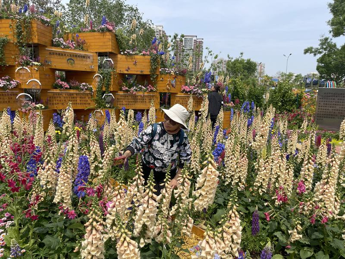 5月1日，北京国际花展，游客们拍照打卡。新京报记者 吴婷婷 摄