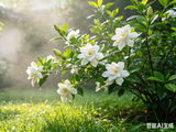 今日立夏｜万物长大，你也该好好“养”自己了