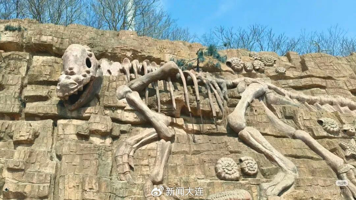图片：张小猫