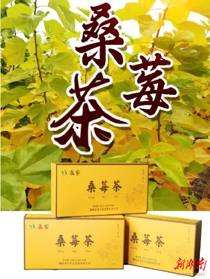 醴陵君华农业有限公司生产的桑莓茶。采访对象供图