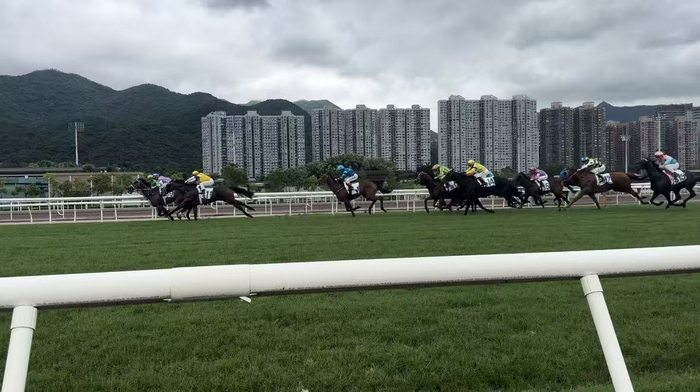 （图：“五一”假期的香港赛马现场，摄\李金萍）