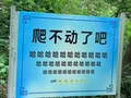 嵩山一标语牌被质疑“嘲讽游客”后替换，网友惋惜称其生动有梗！景区回应：已换回原标语