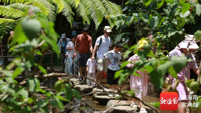游客打卡百花岭热带雨林文化旅游区。百花岭热带雨林文化旅游区供图