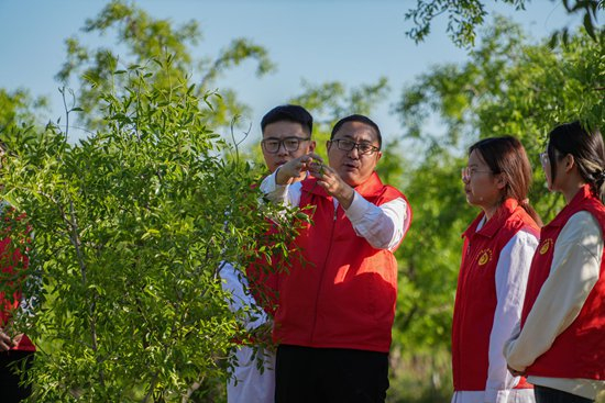图为金丝小枣科技小院院长、山东农业大学副教授张仁堂（右三）进行现场教学（乐陵市委宣传部供图）