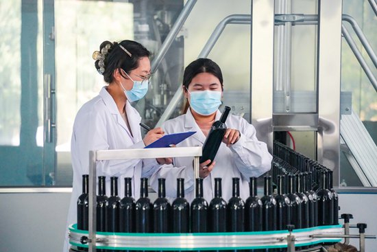 图为科研人员在中试基地交流枣酒加工技术（乐陵市委宣传部供图）