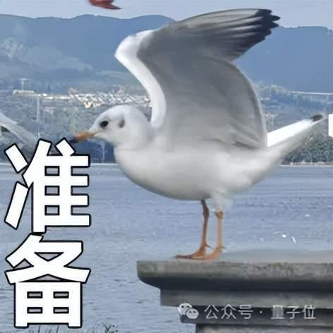 关于这些问题，我们来看看无问芯穹的备战状态。