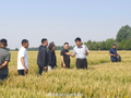 新闻纵深丨抱团“链”出增产路