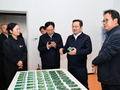 张国华调研雄安新区农业科技发展、重点项目建设运营和安全生产工作