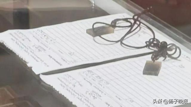 游客购买的两块“野生犀牛角”。受访者供图