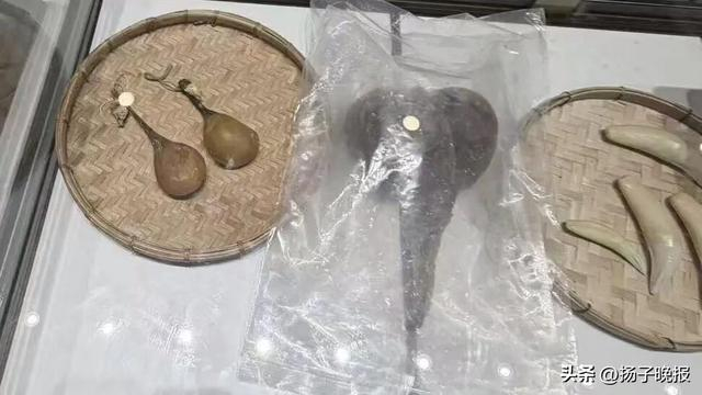 所谓的熊胆、象牙、穿山甲鳞片、犀牛角等。受访者供图