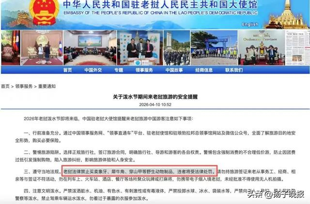 网络截图