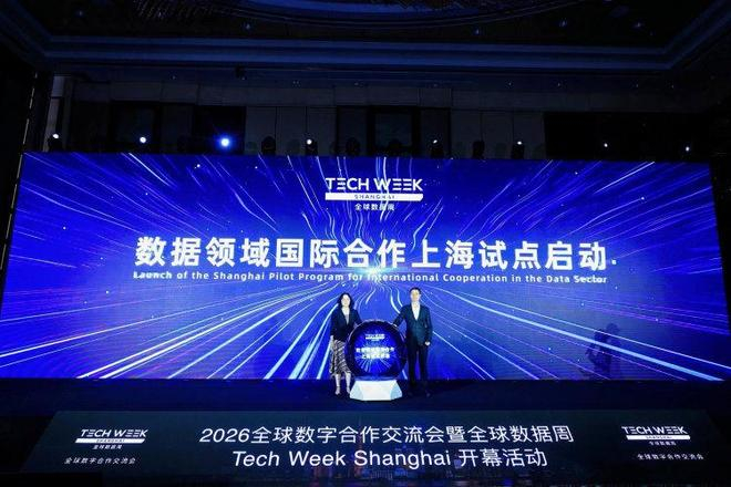 数据领域国际合作试点上海率先启动。图片来源/主办方供图