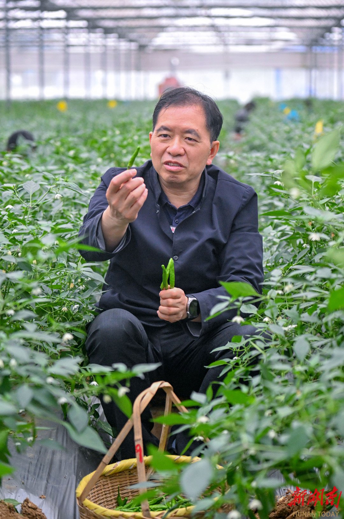 中国工程院院士邹学校。湖南日报全媒体记者 郭立亮 通讯员 郭慧 摄